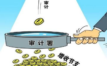 审计个人年度工作总结范文6篇