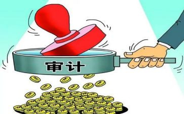 审计工作个人总结范文通用5篇