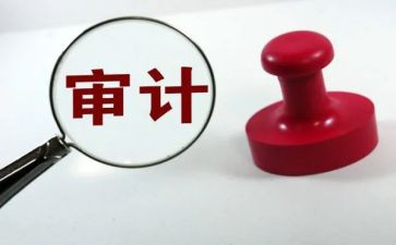 跟踪审计工作总结6篇
