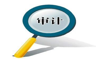 审计局个人总结范文8篇