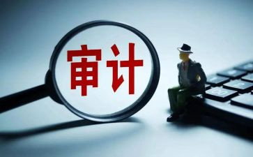 审计局个人年终总结6篇