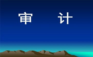 2022审计年终总结6篇