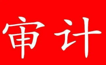 审计工作总结个人总结参考8篇