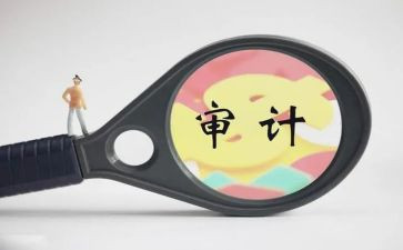审计师年终总结5篇