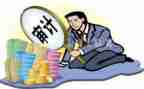 公司审计个人总结7篇