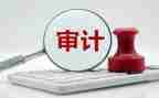 审计专业工作总结5篇