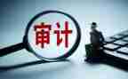 审计局个人年终总结6篇