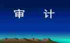 2022审计年终总结6篇