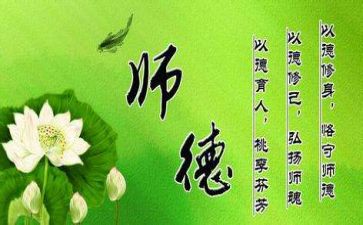师德个人总结8篇