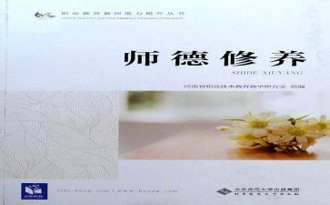 个人师德报告总结5篇