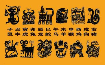 十二生肖大班教案精选7篇