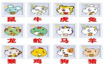 幼儿园大班《十二生肖》教案模板8篇
