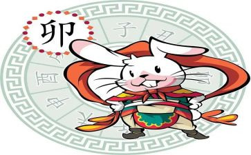 十二生肖大班教案模板6篇