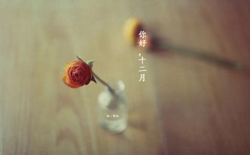 十二月份工作总结8篇