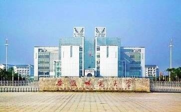 师范生教育实习个人总结5篇