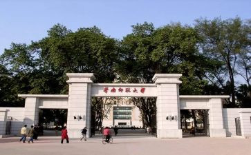师范生实习完个人总结精选5篇