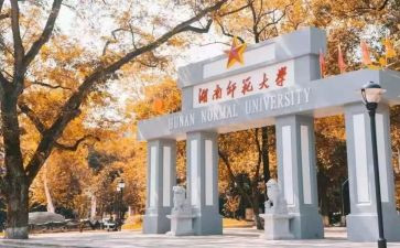 我的语文老师范文作文5篇