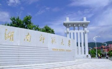 师范生实习队实习工作总结参考8篇