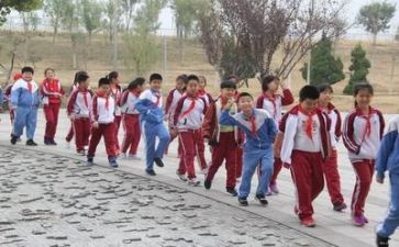 小学学校社会实践活动总结8篇
