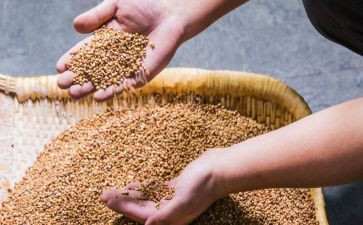 开展世界粮食日活动总结5篇