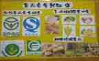 村食品安全工作总结报告8篇