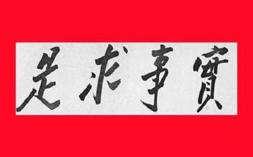 实事工作总结5篇