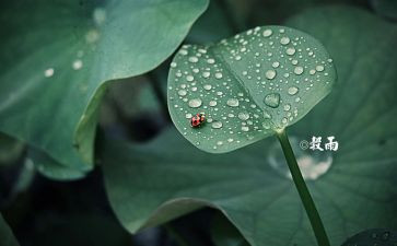 十四运的活动总结6篇