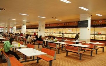 校食堂个人工作总结5篇