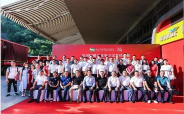 市团委活动总结5篇