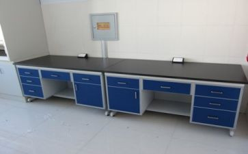实验室年度工作计划8篇
