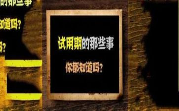 预算员试用期工作总结7篇