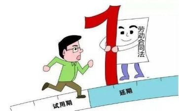 单位试用期工作总结范文7篇