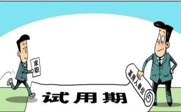 试用期工作总结及心得体会6篇