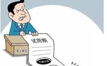 公司试用期个人工作总结6篇