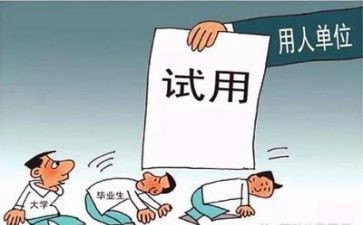护士试用期工作总结个人7篇