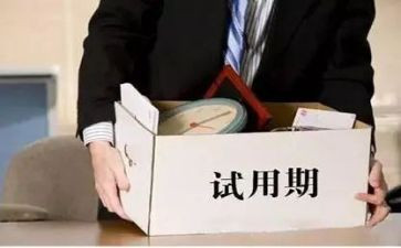 试用期工作总结表5篇