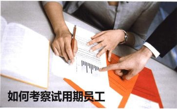 it试用期转正工作总结6篇