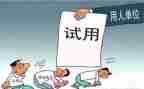 医院试用期工作总结7篇