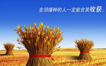 耕耘与收获作文最新7篇