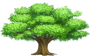 局植树节活动总结优质5篇