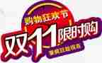 双11总结报告个人心得6篇