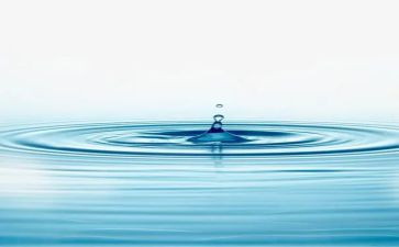 语言《水》教案优质5篇
