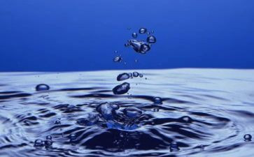语言《水》教案最新6篇
