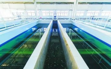 2024年水厂个人年终总结8篇