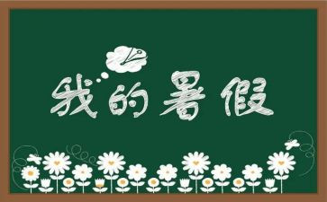 初2暑假个人总结6篇