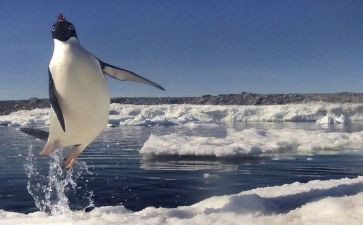 那一瞬间我作文600字作文8篇