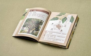 大学四史心得体会7篇