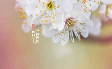 四月学生会工作总结6篇