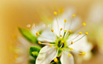 大学生四月工作总结7篇