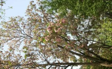 2024四月份工作总结范文6篇